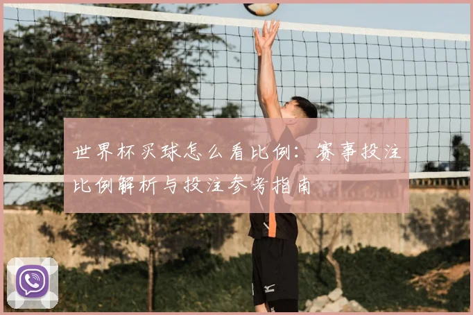 世界杯买球怎么看比例：赛事投注比例解析与投注参考指南