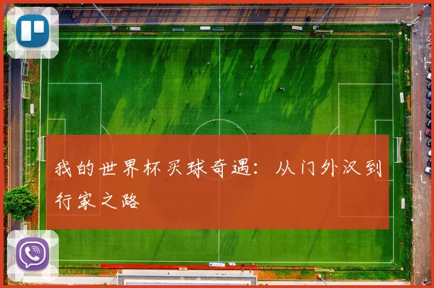 我的世界杯买球奇遇：从门外汉到行家之路