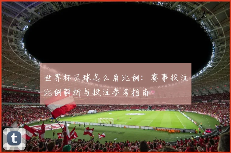 世界杯买球怎么看比例：赛事投注比例解析与投注参考指南