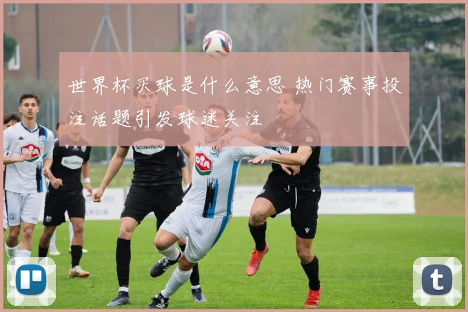 世界杯买球是什么意思 热门赛事投注话题引发球迷关注